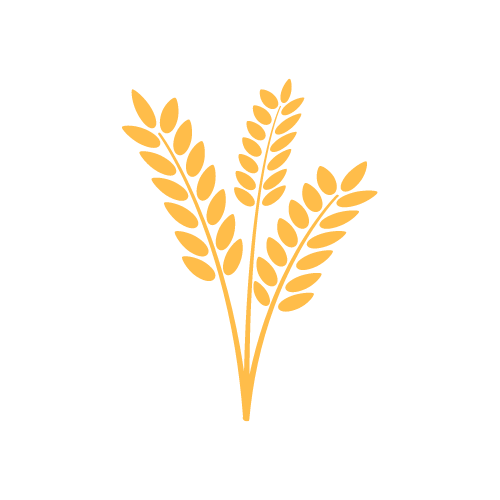 Wheat