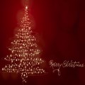 What are you looking forward to this Christmas