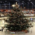 Day 18 : Christmas Prayer Tree 